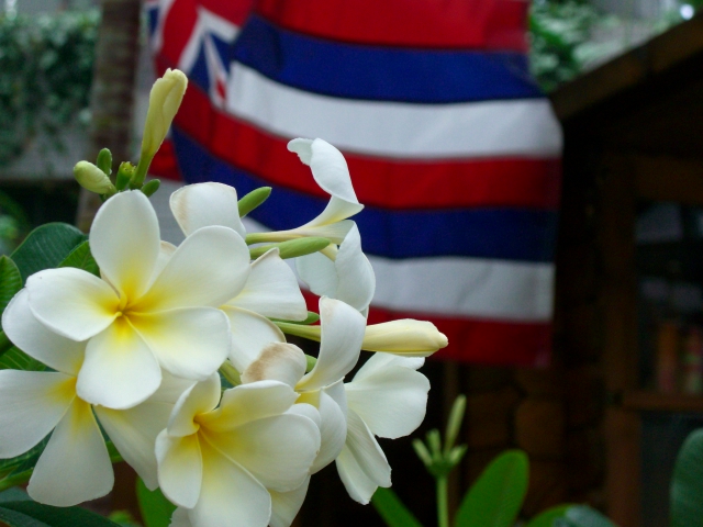 ハワイ・花と文化展
